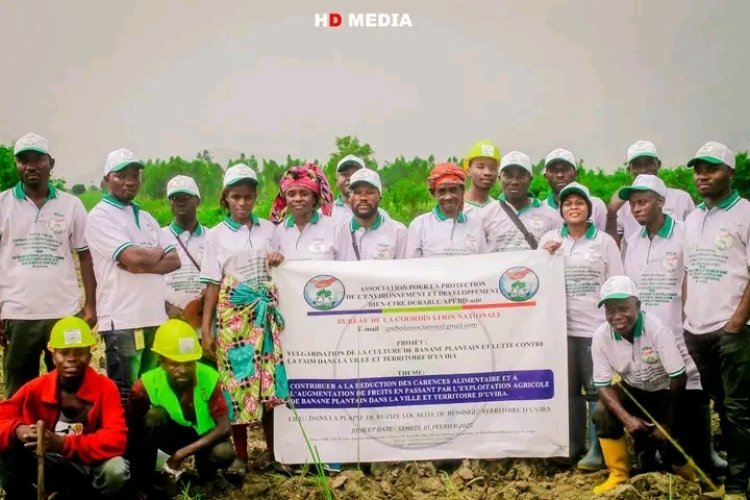  Harbour amid a Slowen down in singer city screening