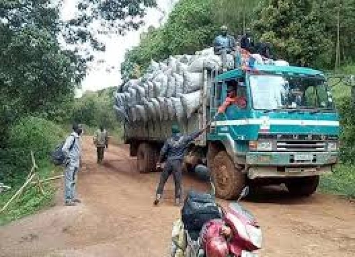  Harbour amid a Slowen down in singer city screening